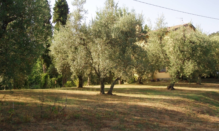 Casa Vacanze Montecatini Terme